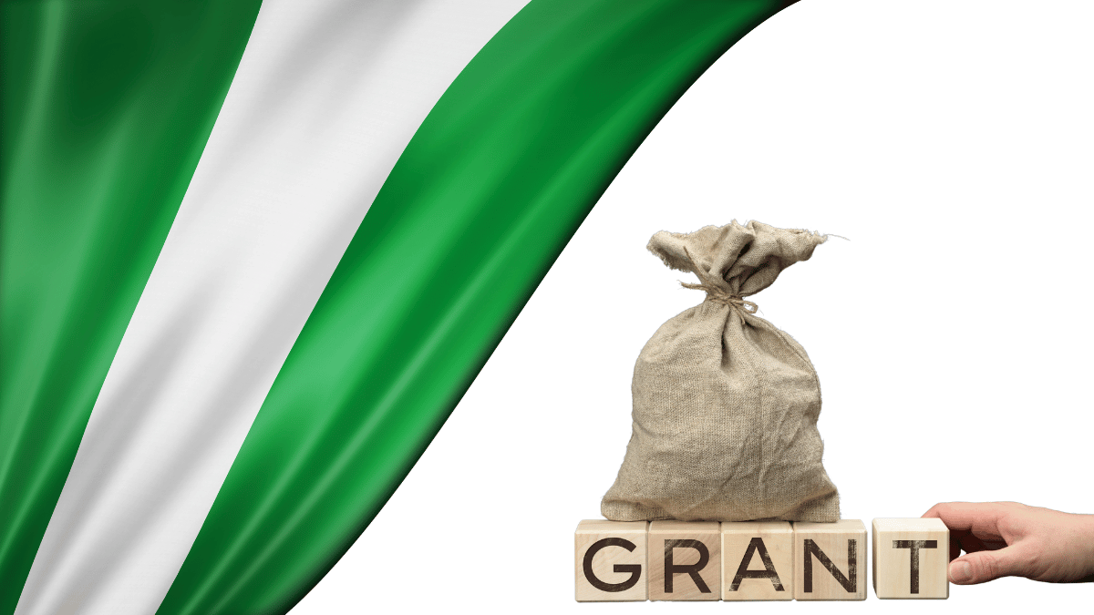 Government Grants in Nigeria